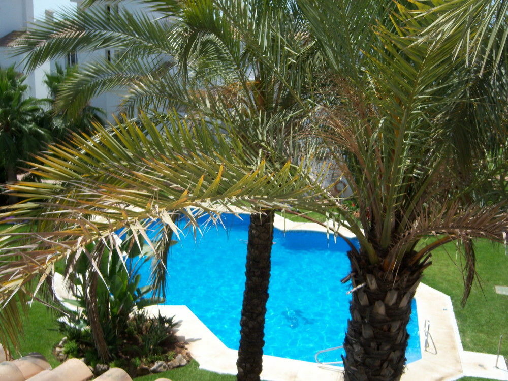 Apartamentos Y Casas Serinamar Marbella El Ángel 외부 사진